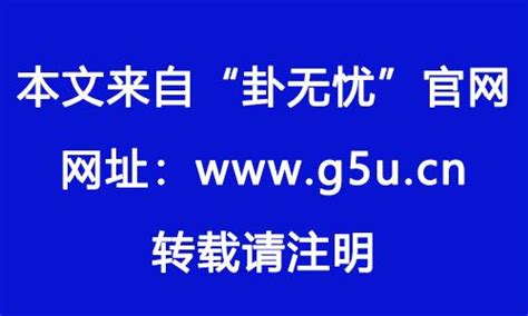 1982 屬|1982年属什么生肖